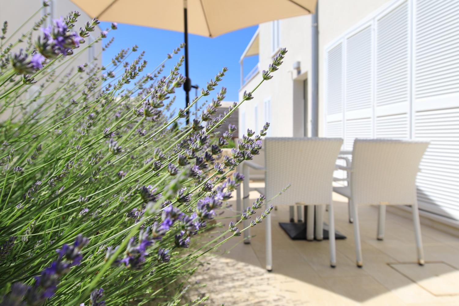 Sunnyside Apartments Resort Петрчане Екстер'єр фото